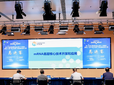 鉴黑网荣获第十三届中国创新创业大赛（广东赛区）二等奖